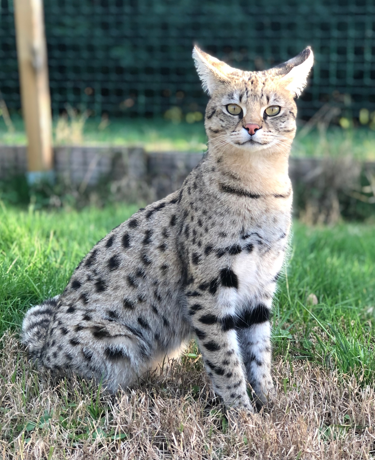 2020 11 29 15.49.13 1